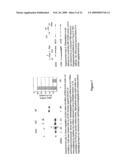 NOVEL OLIGONUCLEOTIDE COMPOSITIONS AND PROBE SEQUENCES USEFUL FOR DETECTION AND ANALYSIS OF microRNAs AND THEIR TARGET mRNAs diagram and image