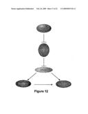 NOVEL OLIGONUCLEOTIDE COMPOSITIONS AND PROBE SEQUENCES USEFUL FOR DETECTION AND ANALYSIS OF microRNAs AND THEIR TARGET mRNAs diagram and image