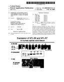 Peripherin and Neurofilament Light Protein Splice Variants in Amyotrophic Lateral Sclerosis (ALS) diagram and image