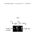 Peripherin and Neurofilament Light Protein Splice Variants in Amyotrophic Lateral Sclerosis (ALS) diagram and image