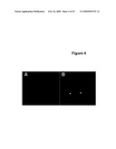 Peripherin and Neurofilament Light Protein Splice Variants in Amyotrophic Lateral Sclerosis (ALS) diagram and image