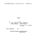 Peripherin and Neurofilament Light Protein Splice Variants in Amyotrophic Lateral Sclerosis (ALS) diagram and image