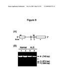 Peripherin and Neurofilament Light Protein Splice Variants in Amyotrophic Lateral Sclerosis (ALS) diagram and image