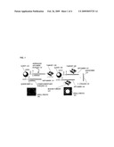 Using DNA aptamers and quantum dots for the detection of proteins or other targets diagram and image