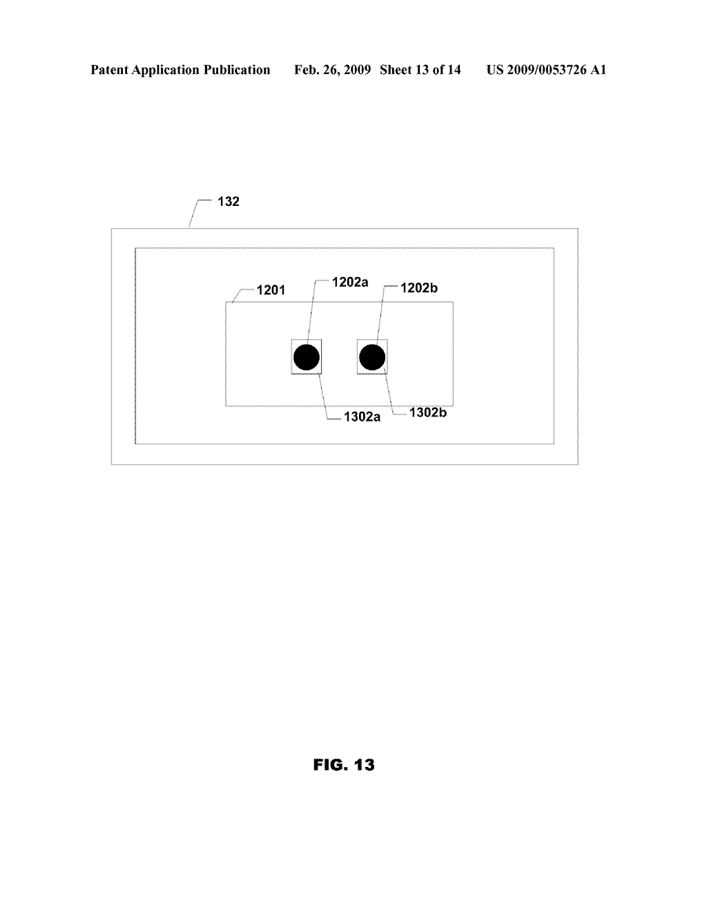 SYSTEMS AND METHODS FOR REAL-TIME PCR - diagram, schematic, and image 14