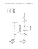 Capture and release based isotope tagged peptides and methods for using the same diagram and image