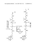 Capture and release based isotope tagged peptides and methods for using the same diagram and image