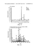 Capture and release based isotope tagged peptides and methods for using the same diagram and image