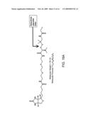 Capture and release based isotope tagged peptides and methods for using the same diagram and image