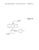 Measurement of Haloperoxidase Activity With Chemiluminescent Detection diagram and image