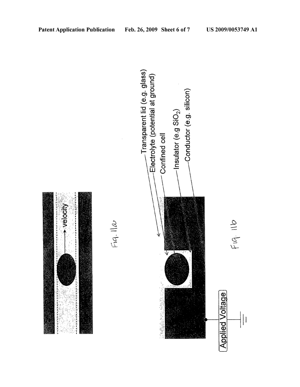Method and Apparatus for High Throughput Diagnosis of Diseased Cells With Microchannel Devices - diagram, schematic, and image 07