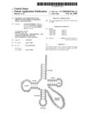 METHODS AND COMPOSITIONS FOR PRODUCING RECOMBINANT PROTEINS USING A GENE FOR TRNA diagram and image