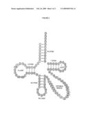 METHODS AND COMPOSITIONS FOR PRODUCING RECOMBINANT PROTEINS USING A GENE FOR TRNA diagram and image