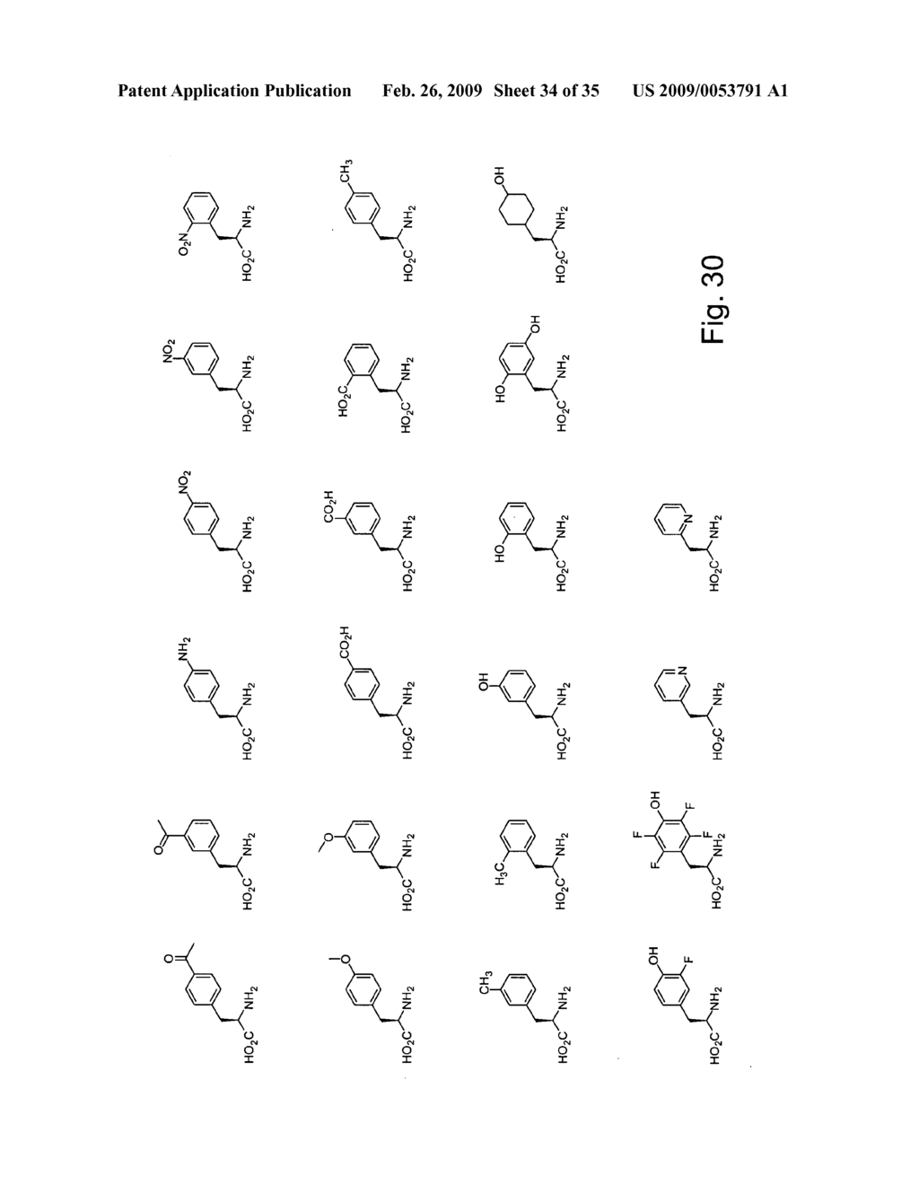 Methods and composition for the production of orthogonal tRNA-aminoacyl tRNA synthetase pairs - diagram, schematic, and image 35