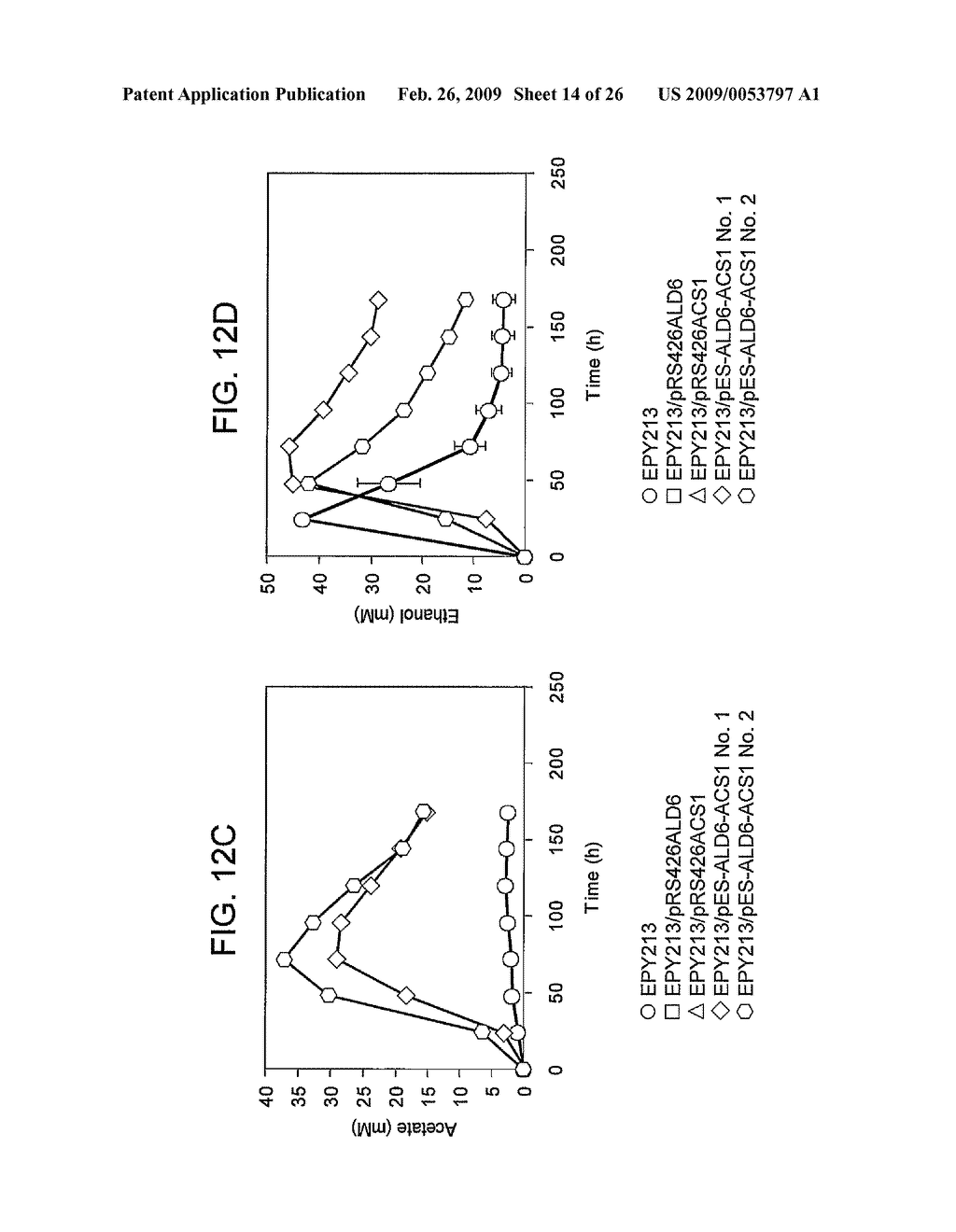 GENETICALLY MODIFIED HOST CELLS AND USE OF SAME FOR PRODUCING ISOPRENOID COMPOUNDS - diagram, schematic, and image 15