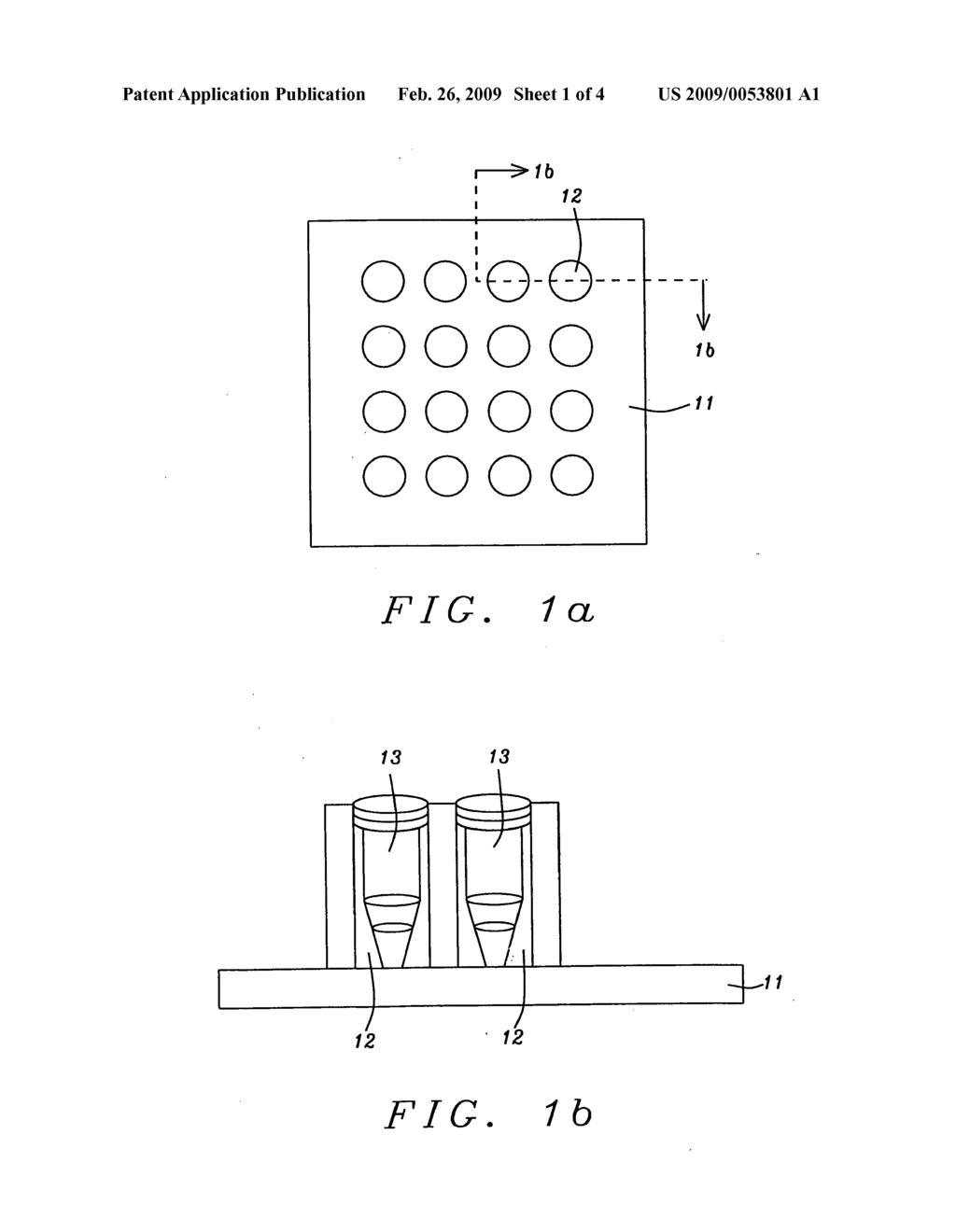 Shallow multi-well plastic chip for thermal multiplexing - diagram, schematic, and image 02