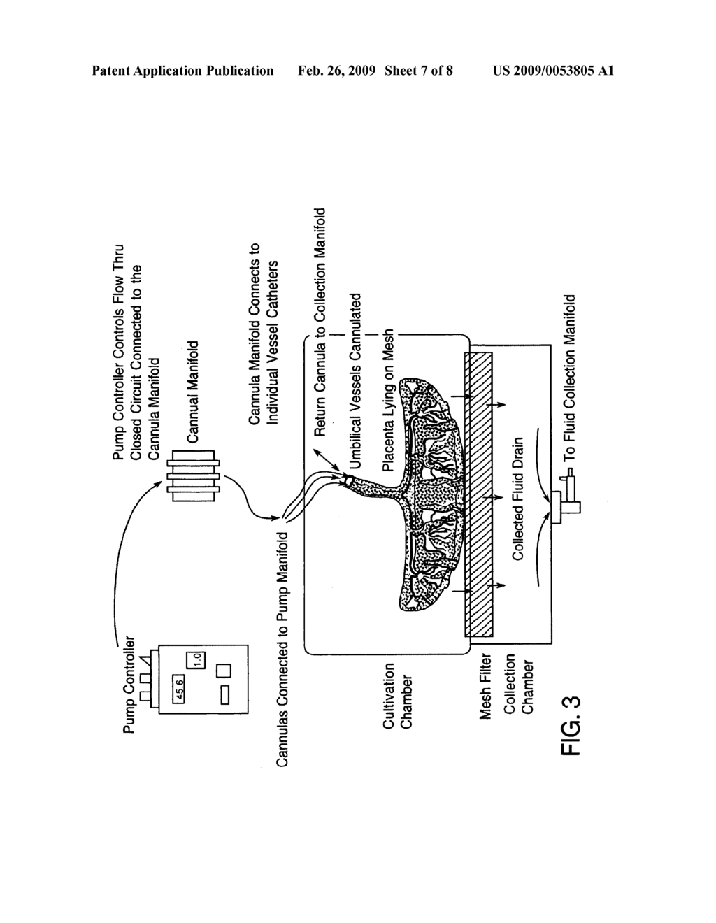 POST-PARTUM MAMMALIAN PLACENTA, ITS USE AND PLACENTAL STEM CELLS THEREFROM - diagram, schematic, and image 08