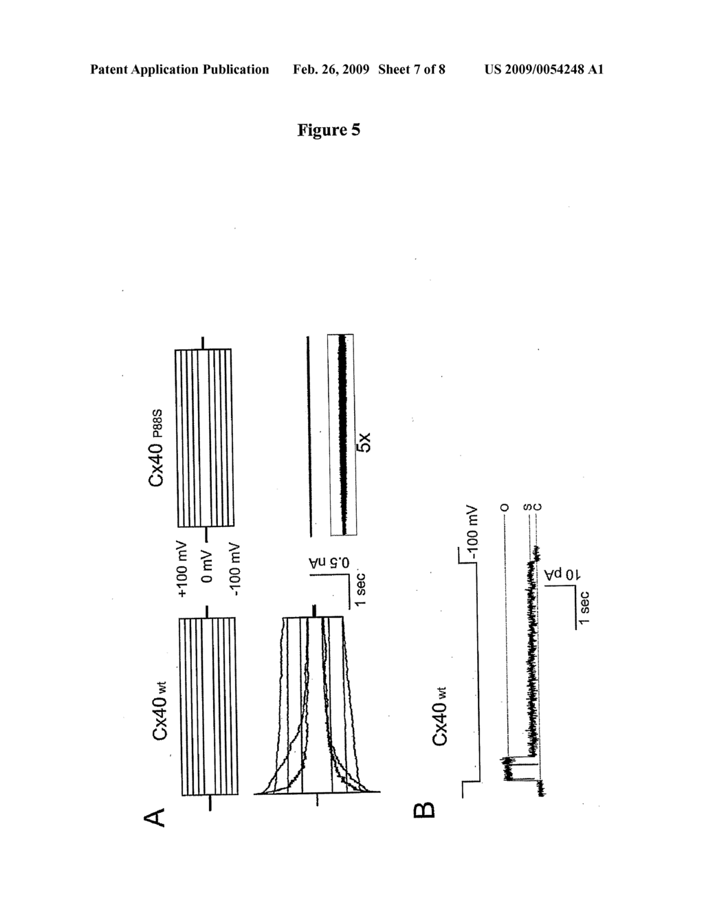 CONNEXIN 40 TISSUE SPECIFIC GENE MUTATIONS - diagram, schematic, and image 08