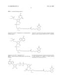 Nucleic Acid Labeling Methods diagram and image