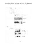 Polypeptides and use thereof diagram and image