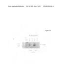 Use of heat-shock protein 27 for cardiovascular disease prevention and treatment diagram and image