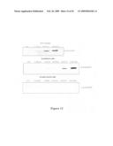 Use of heat-shock protein 27 for cardiovascular disease prevention and treatment diagram and image