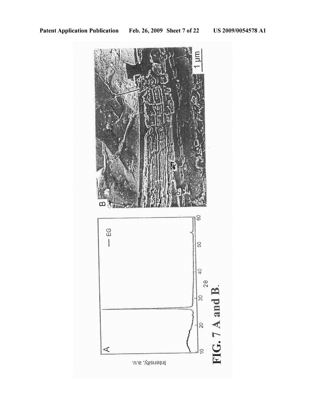 AUTOMOTIVE BODY PANEL CONTAINING THERMALLY EXFOLIATED GRAPHITE OXIDE - diagram, schematic, and image 08