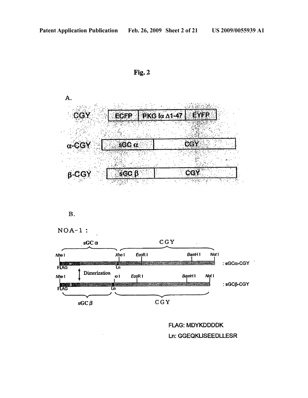 Probe for detection and quantification of nitric oxide, and method for detecting and quantifying nitric oxide using the same - diagram, schematic, and image 03