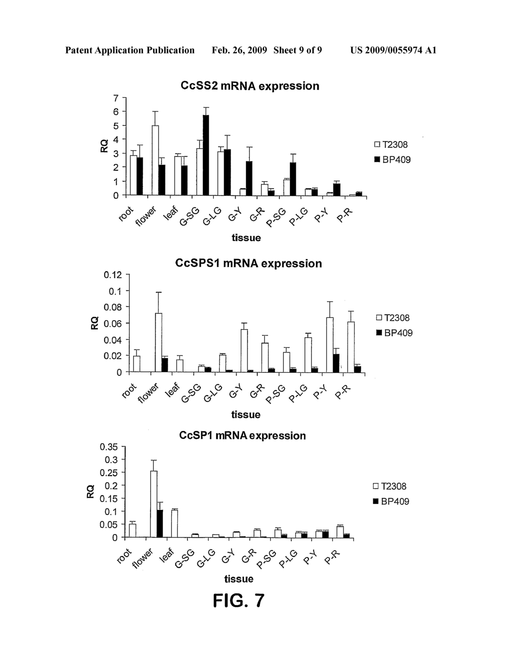 Nucleic acids and proteins associated with sucrose accumulation in coffee - diagram, schematic, and image 10