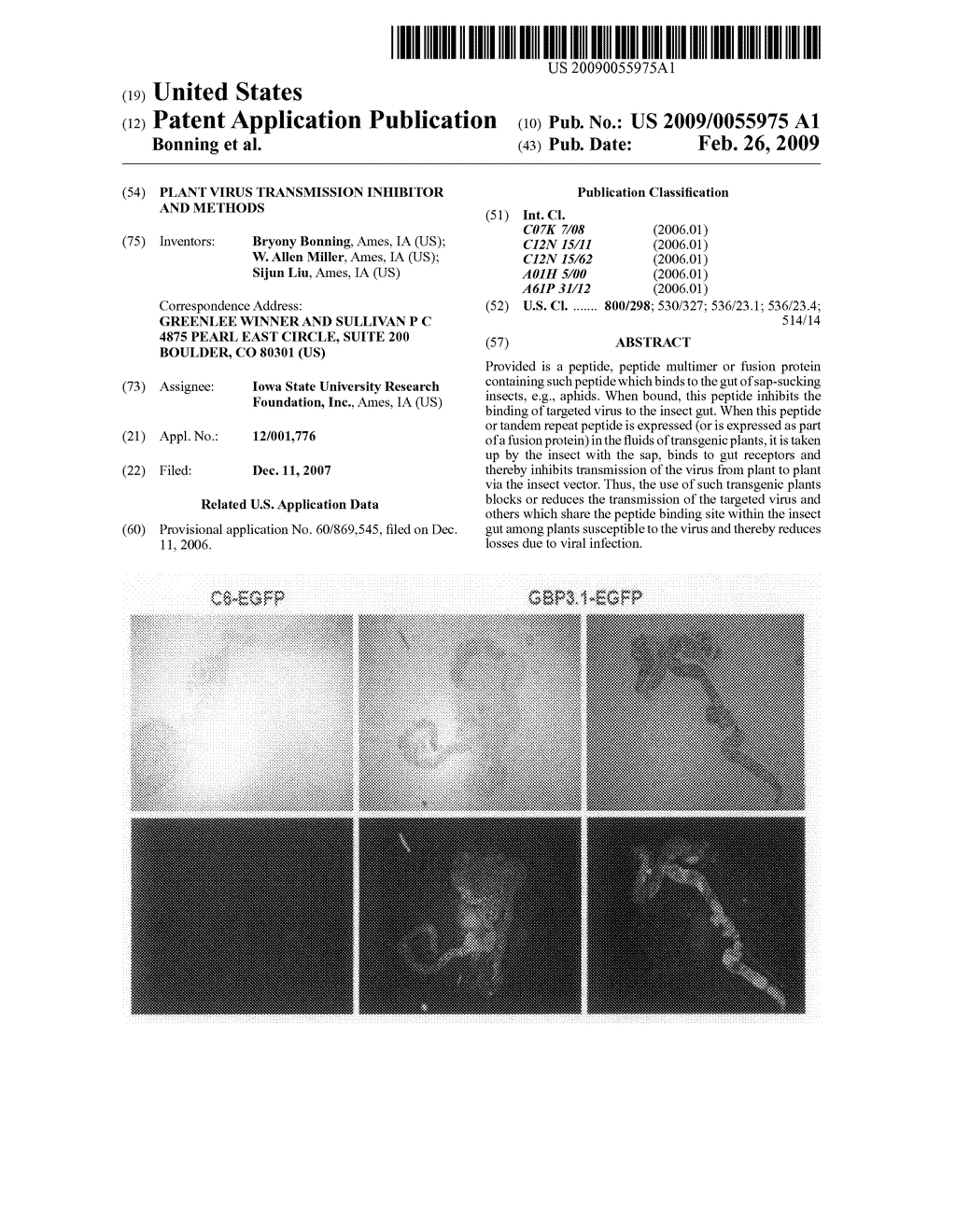 Plant virus transmission inhibitor and methods - diagram, schematic, and image 01