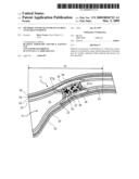 METHODS AND DEVICES FOR OCCLUDING AN OVARIAN PATHWAY diagram and image