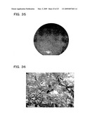 Urethane foam molded article, manufacturing method thereof, and magnetic induction foam molding apparatus diagram and image