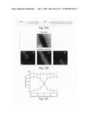 Nanoscale wires and related devices diagram and image