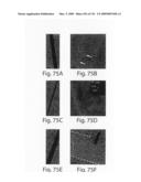 Nanoscale wires and related devices diagram and image