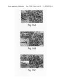 Nanoscale wires and related devices diagram and image