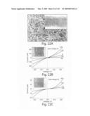 Nanoscale wires and related devices diagram and image