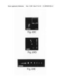 Nanoscale wires and related devices diagram and image