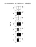 Electrophoresis Display Device, Electrophoresis Display Device Driving Method, and Electronic Apparatus diagram and image