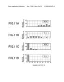 THIN FILM PERPENDICULAR MAGNETIC RECORDING HEAD, THEIR FABRICATION PROCESS AND MAGNETIC DISK DRIVE USING IT diagram and image