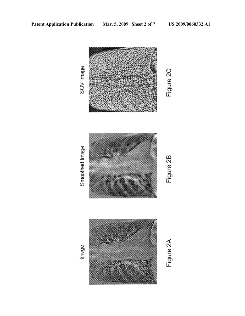 OBJECT SEGMENTATION USING DYNAMIC PROGRAMMING - diagram, schematic, and image 03