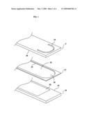 MICROFLUIDIC APPARATUS FOR WIDE AREA MICROARRAYS diagram and image