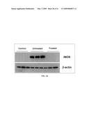 Novel synthetic triterpenoids and methods of use in the treatment and prevention of multiple scleroris diagram and image