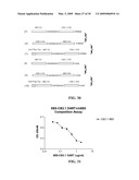 COVALENT DIABODIES AND USES THEREOF diagram and image