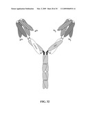 COVALENT DIABODIES AND USES THEREOF diagram and image