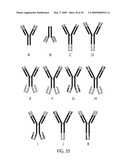 COVALENT DIABODIES AND USES THEREOF diagram and image