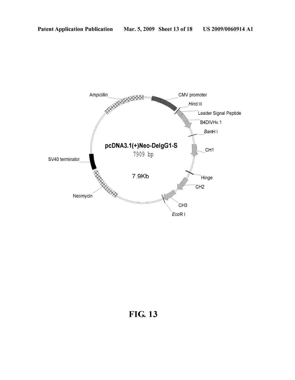 DEIMMUNIZED MONOCLONAL ANTIBODIES FOR PROTECTION AGAINST HIV EXPOSURE AND TREATMENT OF HIV INFECTION - diagram, schematic, and image 14