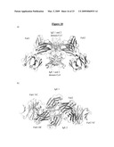 BINDING MEMBERS FOR IgE MOLECULES diagram and image