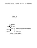 BINDING MEMBERS FOR IgE MOLECULES diagram and image