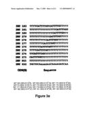 IMMUNOSTIMULATORY OLIGONUCLEOTIDES AND USES THEREOF diagram and image