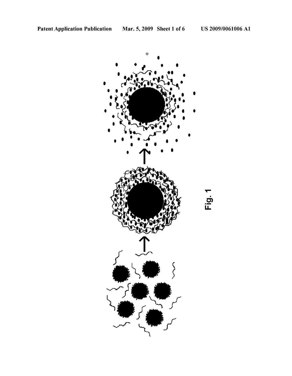 Layered Nanoparticles for Sustained Release of Small Molecules - diagram, schematic, and image 02